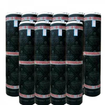 山西廠家直銷sbs防水卷材,低價更保質量就是圣龍-濟南功能材料